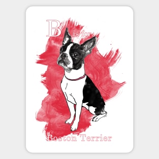 B is for Boston Terrier Sticker